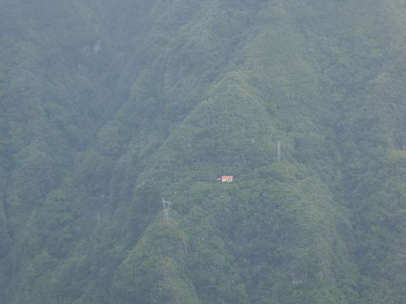    Madeira  Lorbeerwlder Laurasilva Lorbeerwald  Madeira   Cabo  Madeira  Lorbeerwlder Laurasilva Lorbeerwald 