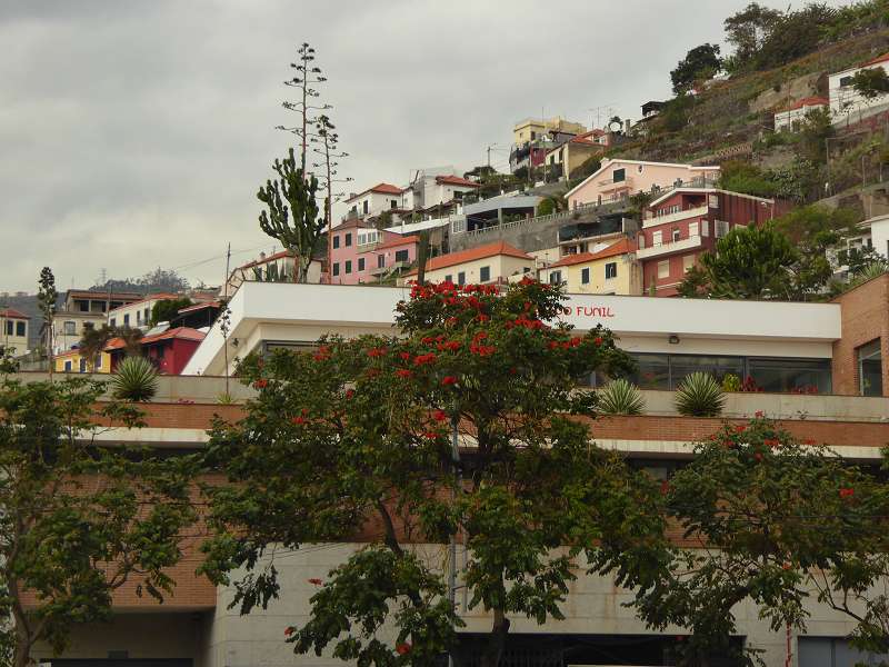 Madeira   camara de lobos Bucht der Seelwen Churchillbucht der madeirensische Fischerort Lieblingsort von Winston Churchill