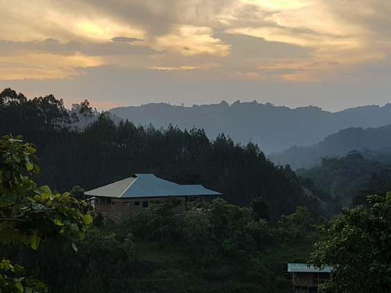 Gorilla Valley Lodge Bwindi