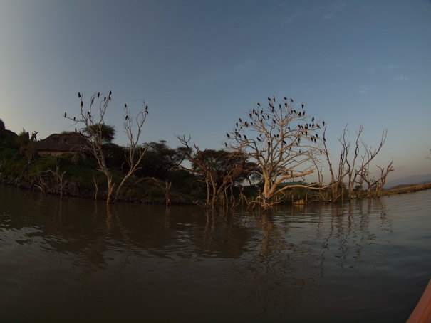   Kenia  Lake Baringo Island Camp  Boatsafari FisheyeKenia  Lake Baringo Island Camp 1 Boatsafari Fisheye