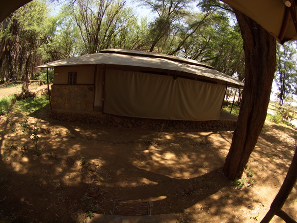   Samburu Nationalpark  Larsens Camp tentsSamburu Nationalpark  Larsens Camp tents