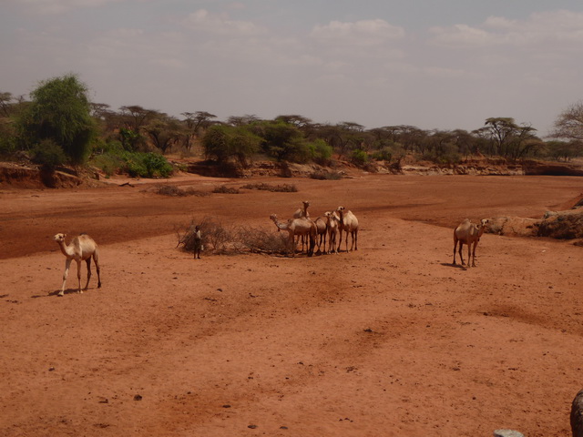    Kenia   Fahrt   Bogoria nach Samburu  Kenia   Fahrt   Bogoria nach Samburu 