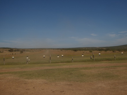 Solio RancH Flycatcher