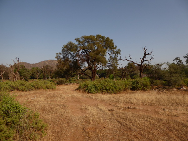 crossing ewaso nyrio