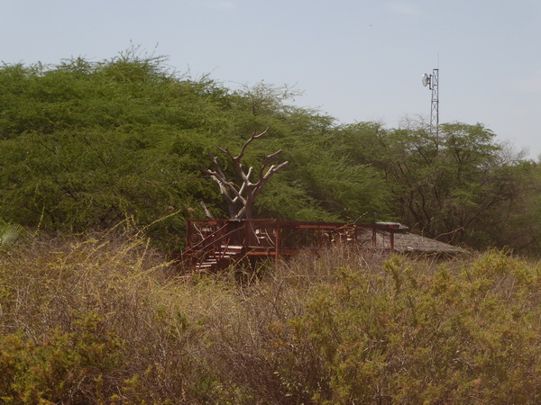 Samburu Nationalpark bush dinner sundowner place