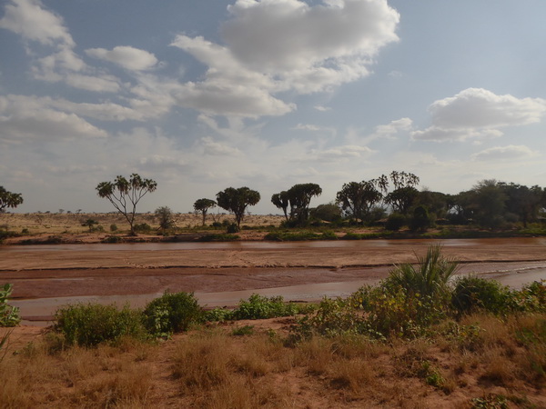 Samburu Nationalpark Larsens Camp