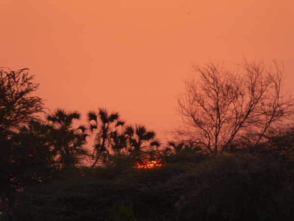   Samburu Nationalpark Larsens CampSamburu Nationalpark Samburu Nationalpark Larsens Camp