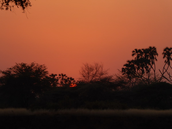   Samburu Nationalpark Larsens CampSamburu Nationalpark Samburu Nationalpark Larsens Camp