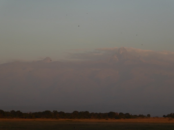 Mount Kenya National Park: