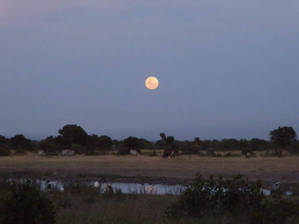 Mount Kenya National Park moonlake