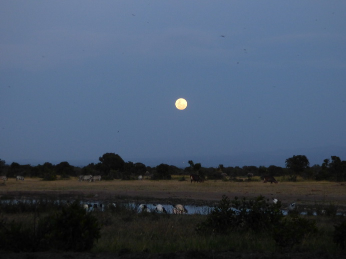 Sweetwaters  Kenia  National Park Hotel Sweetwaters Serena Camp, Mount Kenya National Park fulmoon: 