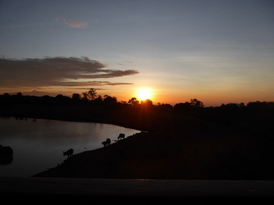   The Ark  in Kenia Aberdare National Park  Sundowner The Ark  in Kenia Aberdare National Park  Sundowner 