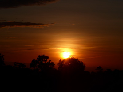   The Ark  in Kenia Aberdare National Park  Sundowner The Ark  in Kenia Aberdare National Park  Sundowner 