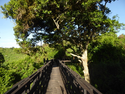 The Ark  in Kenia Aberdare National Park  Sunrise