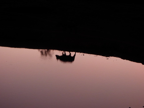   The Ark  in Kenia Aberdare National Park  Sundowner The Ark  in Kenia Aberdare National Park  Sundowner 