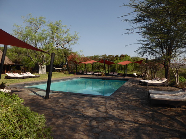 Kenia  Lake Baringo Island Camp Pool