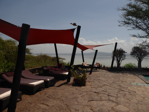 Kenia  Lake Baringo Island Camp Pool