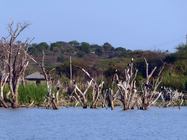  Kenia  Lake Baringo Mainland Safaricamp