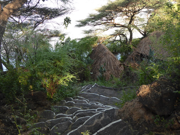  Kenia  Lake Baringo Island Camp down to the jetty