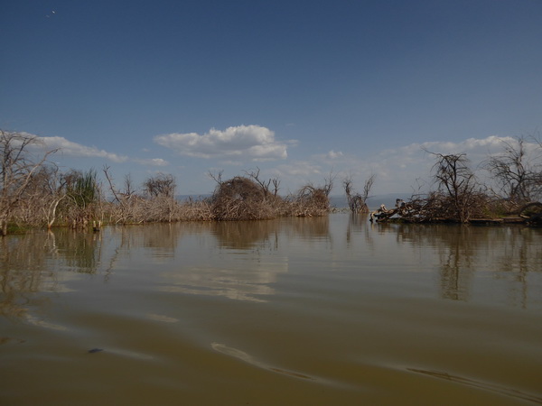 Kenia  Lake Baringo Island Camp