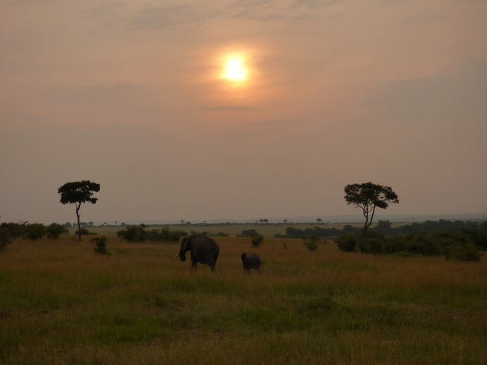 Masai Mara  Tembo Kidogo kleiner Elefant