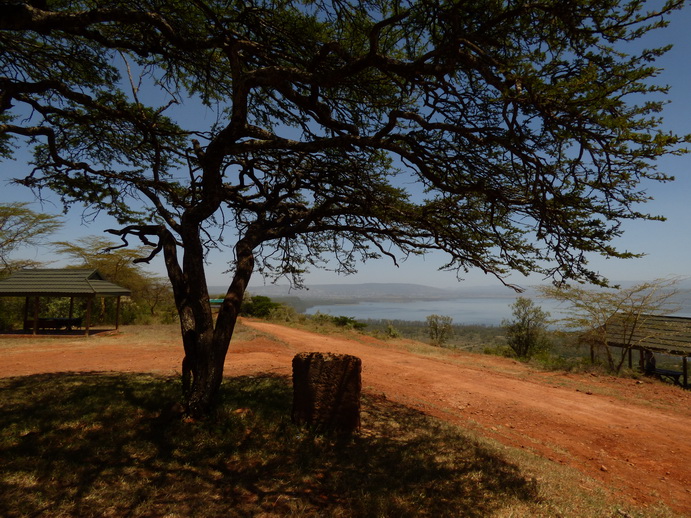 Lake Nakuru Baboon Lookout