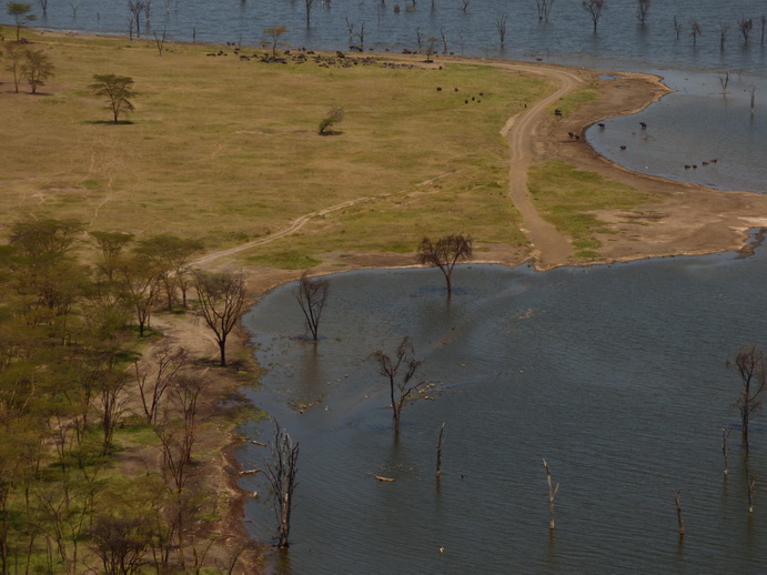 Lake Nakuru Baboon Lookout