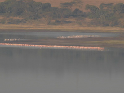 Sunbird Lodge   Lake Elementaita   Kenia   