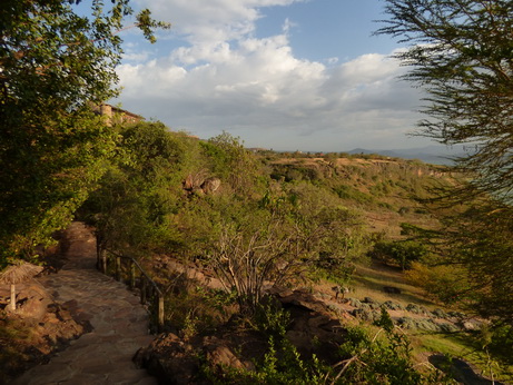 Sunbird Lodge   Lake Elementaita   Kenia   Lodgearea Pool