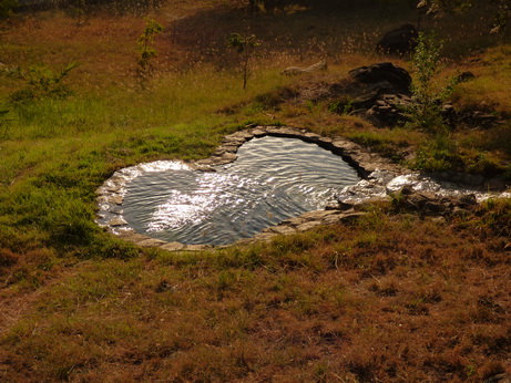 Sunbird Lodge   Lake Elementaita   Kenia   Lodgearea Pool