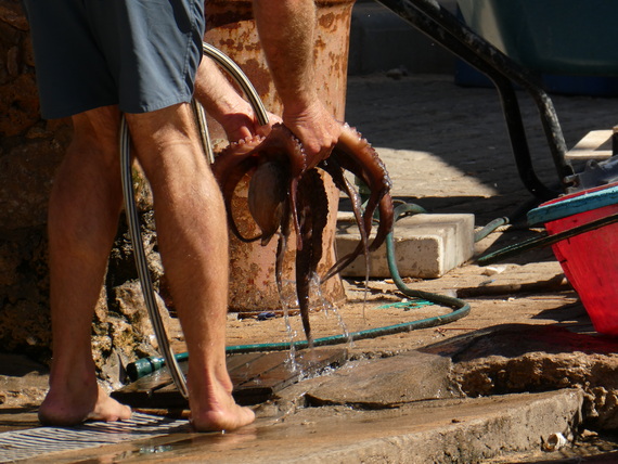 Fischermen Porches Algarve Octopus