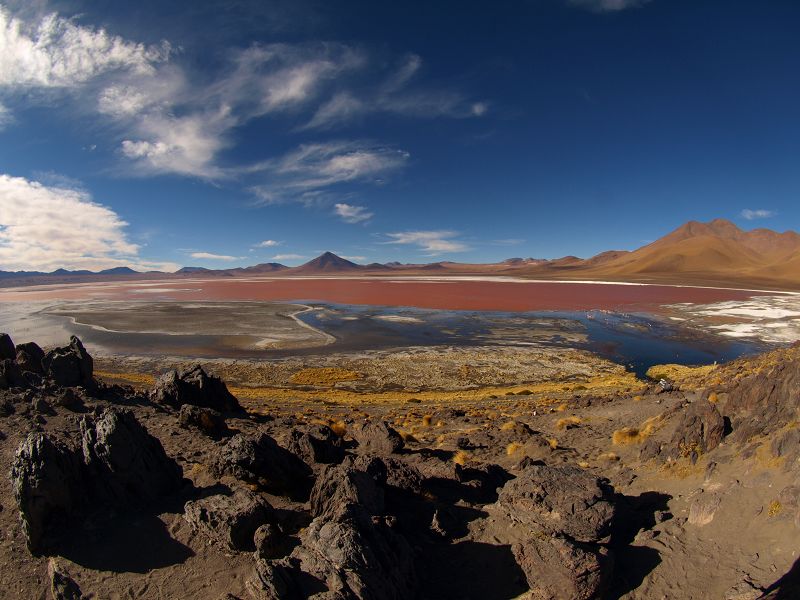 Laguna campina Bolivien Uyuni 4x4 Salzsee Saltlake  Laguna Pasto Grande Siloli Wüste