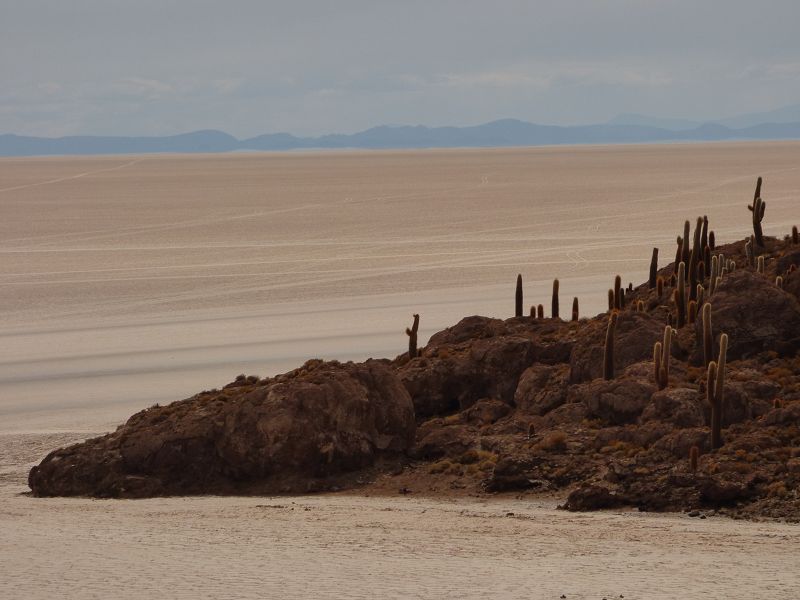 Uyuni Isla de Pescado   Uyuni – Salzseee – Reserva del Salar Incahuasi