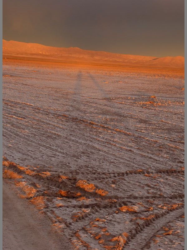 Uyuni Salzseee – Reserva del Salar Incahuasi Salzseewandern saltwalking  Salzwandern