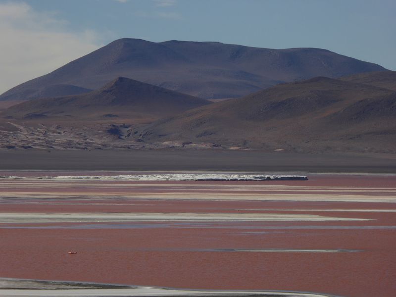 Laguna Pasto Grande Bolivien Uyuni 4x4 Salzsee Saltlake Pasto Grande Flamencos Flamingos