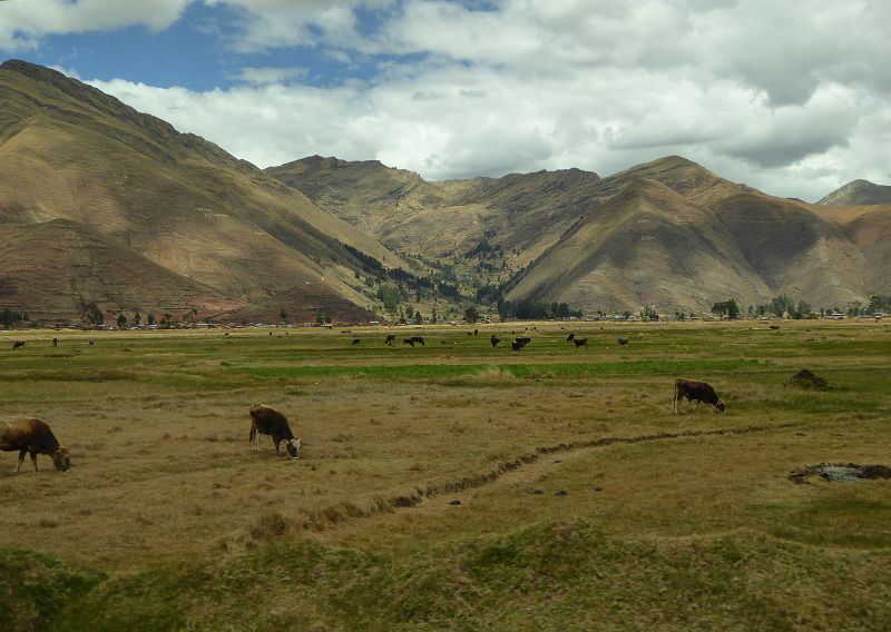 Peru Cuso Puno Lago Titicaca Titicacasee Fahrt von Cusco nach PUNO La Raya Pass