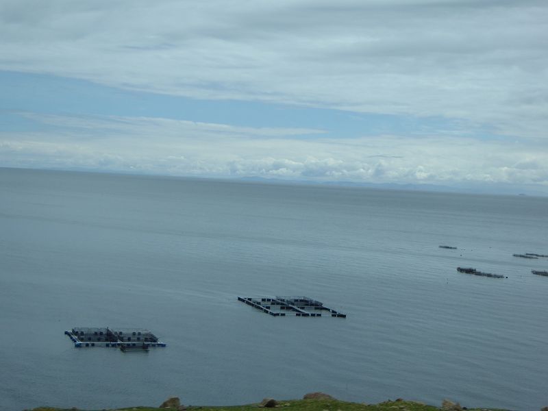 fischfarmen lago titicaca Fishfarming titicacasee