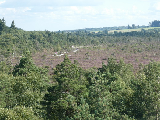 Rhönmoor  Wanderweg moorwanderung schwarzes Moor 