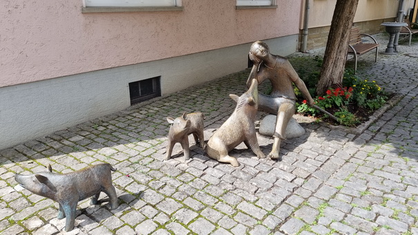 real Schwein in der furt 