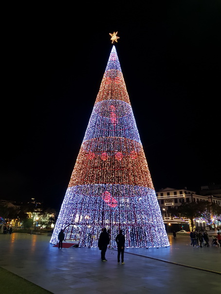 Madeira 2017 Christmastree Weihnachtsbaum Madeira 2017 Christmastree Weihnachtsbaum  Weihnachtsschmuck 