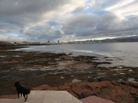   Gran Canaria Beach Gran Canaria Beach Playa de El Confital 