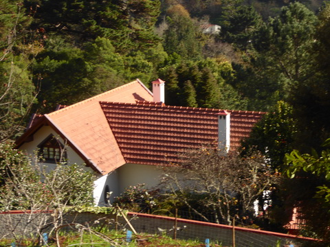   Madeira 2017 Fahrt zur Levadawanderung Madeira 2017   Levadawanderung 