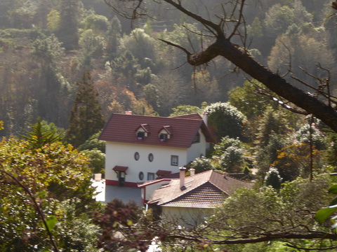   Madeira 2017 Fahrt zur Levadawanderung Madeira 2017   Levadawanderung 