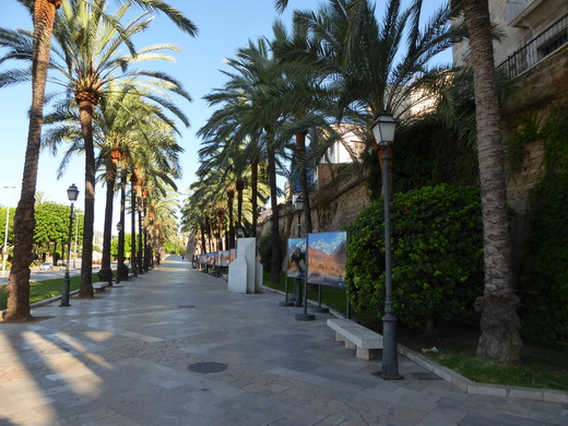   Palma de Mallorca Mallorca Avenida de Gabriel Roca Palma de Mallorca Mallorca Avenida de Gabriel Roca 