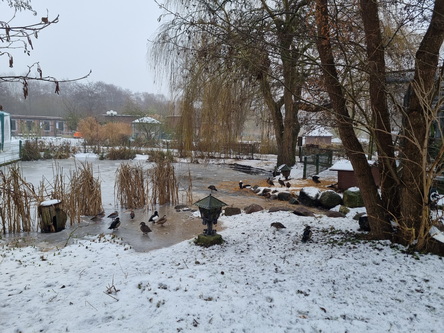   Vogelpark Niendorf Hemmeldorfer seeVogelpark Niendorf Hemmeldorfer see