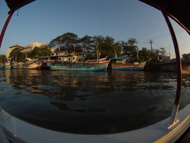 Negombo Boatsafari Mangroves 