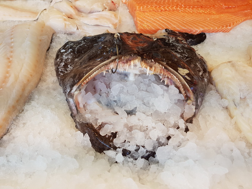 Bergen Fischmarkt  Torget Königskrabbe, Wal, Hummer und Muscheln Lachs 