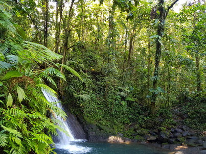   Guadelope Krebswasserfall Cascade aux Ecrevisses Guadelope Krebswasserfall Cascade aux Ecrevisses