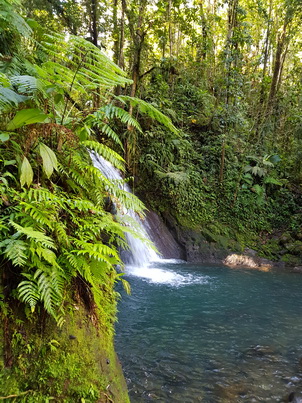   Guadelope Krebswasserfall Cascade aux Ecrevisses Guadelope Krebswasserfall Cascade aux Ecrevisses