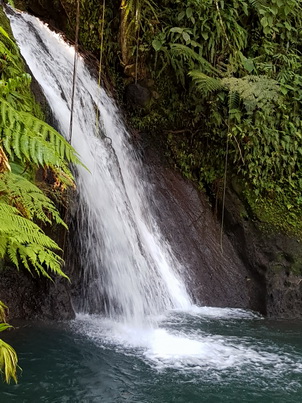   Guadelope Krebswasserfall Cascade aux Ecrevisses Guadelope Krebswasserfall Cascade aux Ecrevisses